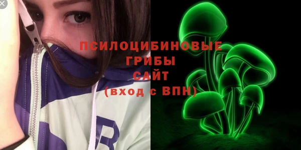 амф Абинск
