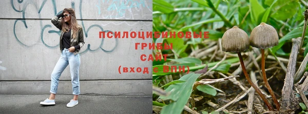 гашик Абаза