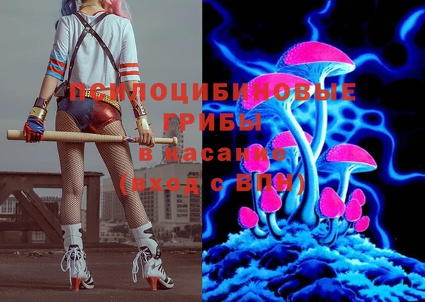 амф Абинск